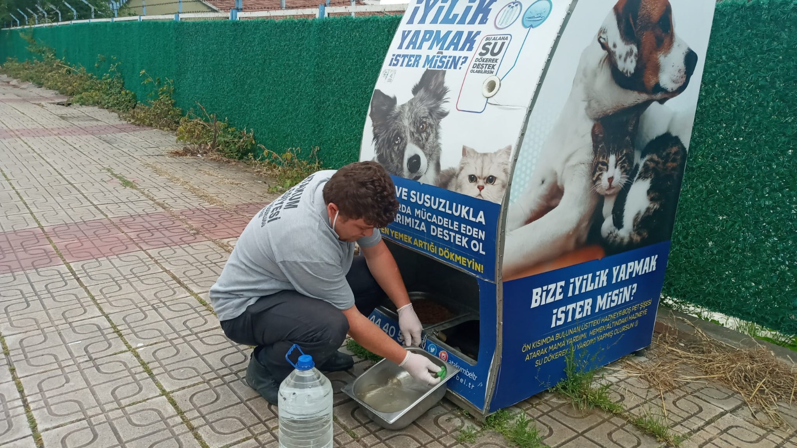 Atakum Belediyesi’nden  patili dostlara destek