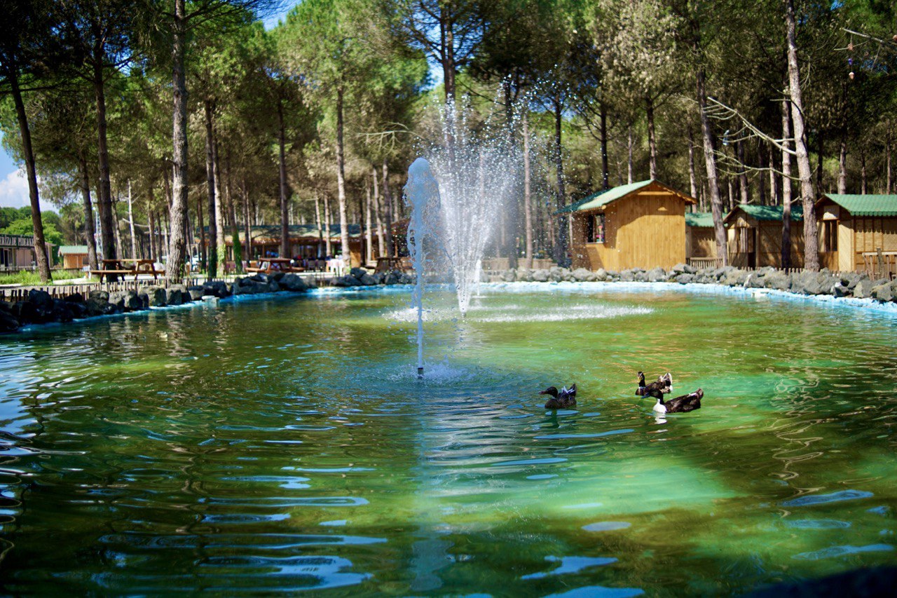 “ÇARŞAMBA ORMAN PARK”