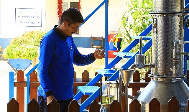 Muğla Büyükşehir Distilasyon Tesisi Muğla’nın Aromatik Bitkileri’ni İşliyor