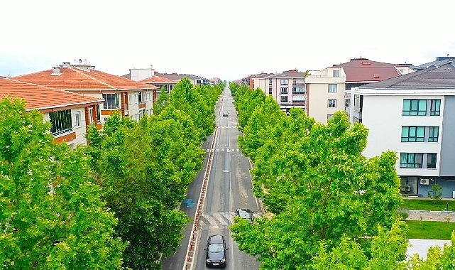 “Yıllar önce dikilen ağaçlar yeşil koridor oluşturdu”