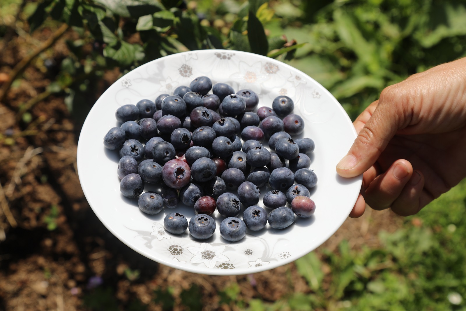 ÜRETİCİLERİN YENİ GELİR KAPISI OLDU