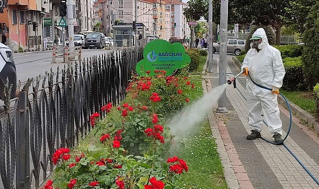 Bağcılar Belediyesi Bitlerle Mücadelesini Sürdürüyor
