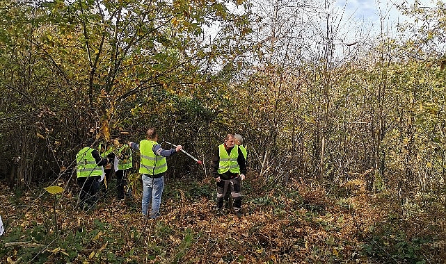 Borusan EnBW Enerji’den Bandırma Karadağ Kestanesi’nin Geleceği Projesi
