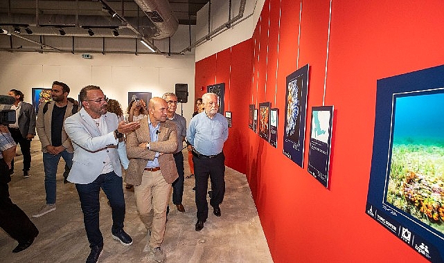 “Bu güzelim Körfez’de tekrar yüzeceğiz”