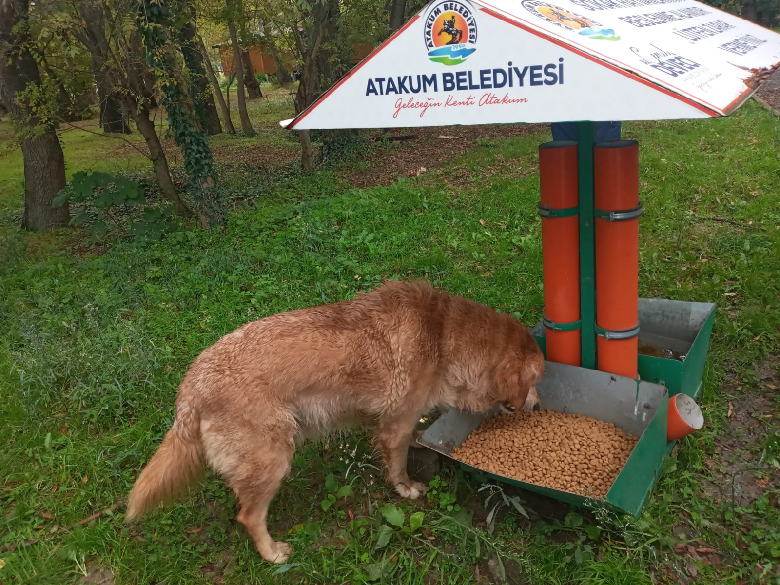 Atakum’da patili dostlar için  örnek dayanışma