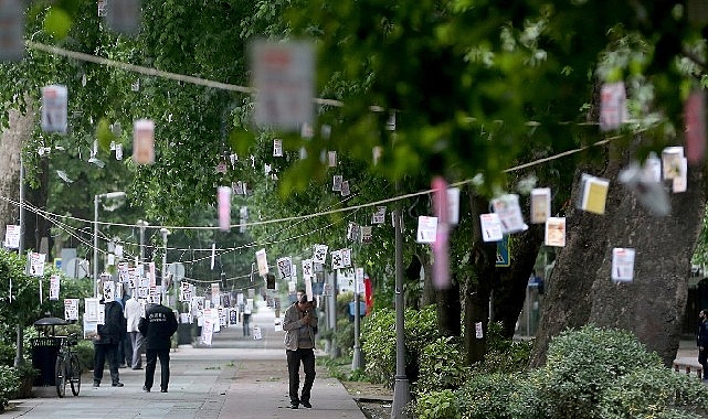 Cumhuriyet Bulvarı’nda Ağaçlar Kitap Açacak