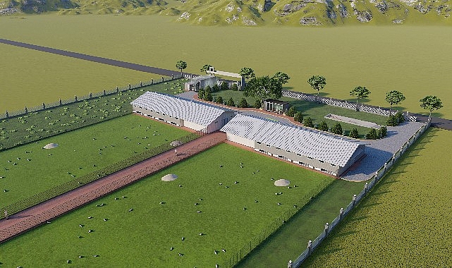 Antalya Büyükşehir Belediyesi serbest gezen tavuk çiftliği kuruyor