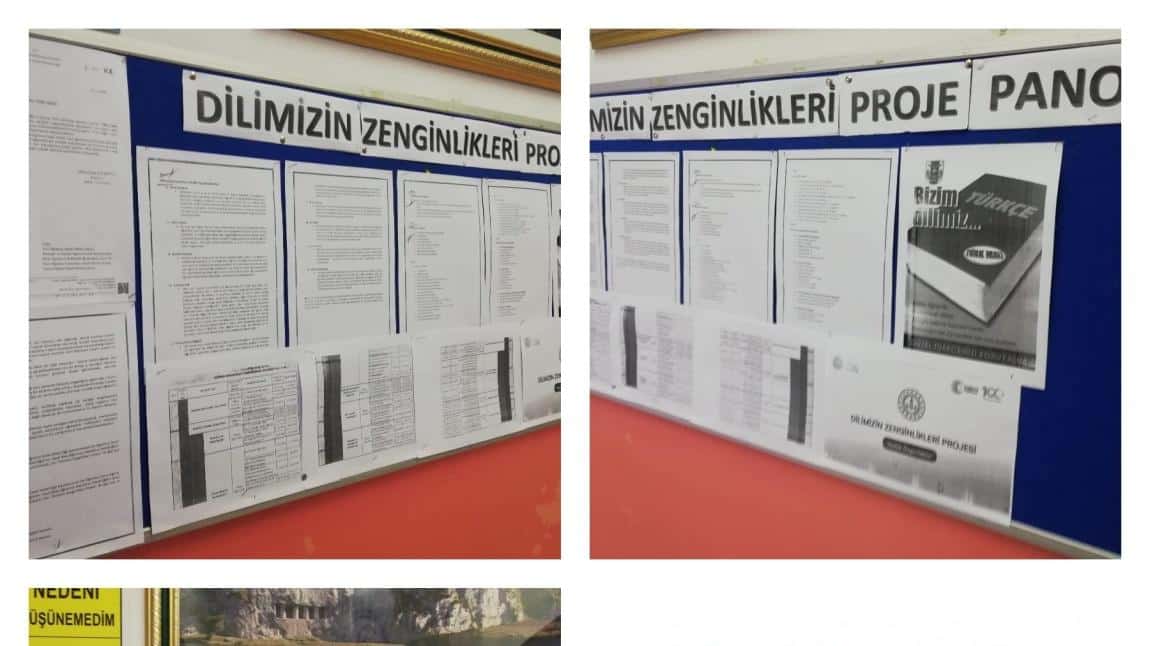 BAFRA 30 AĞUSTOS İLKOKULU DİLİMİZİN ZENGİNLİKLERİ PROJESİ