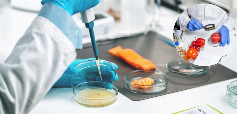 AB’de Yürütülen Gıda Güvenliği Kampanyasına Türkiye de Katıldı