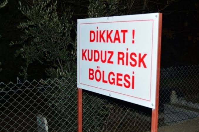 Adıyaman’da kuduz alarmı: Köseceli beldesi karantinada!