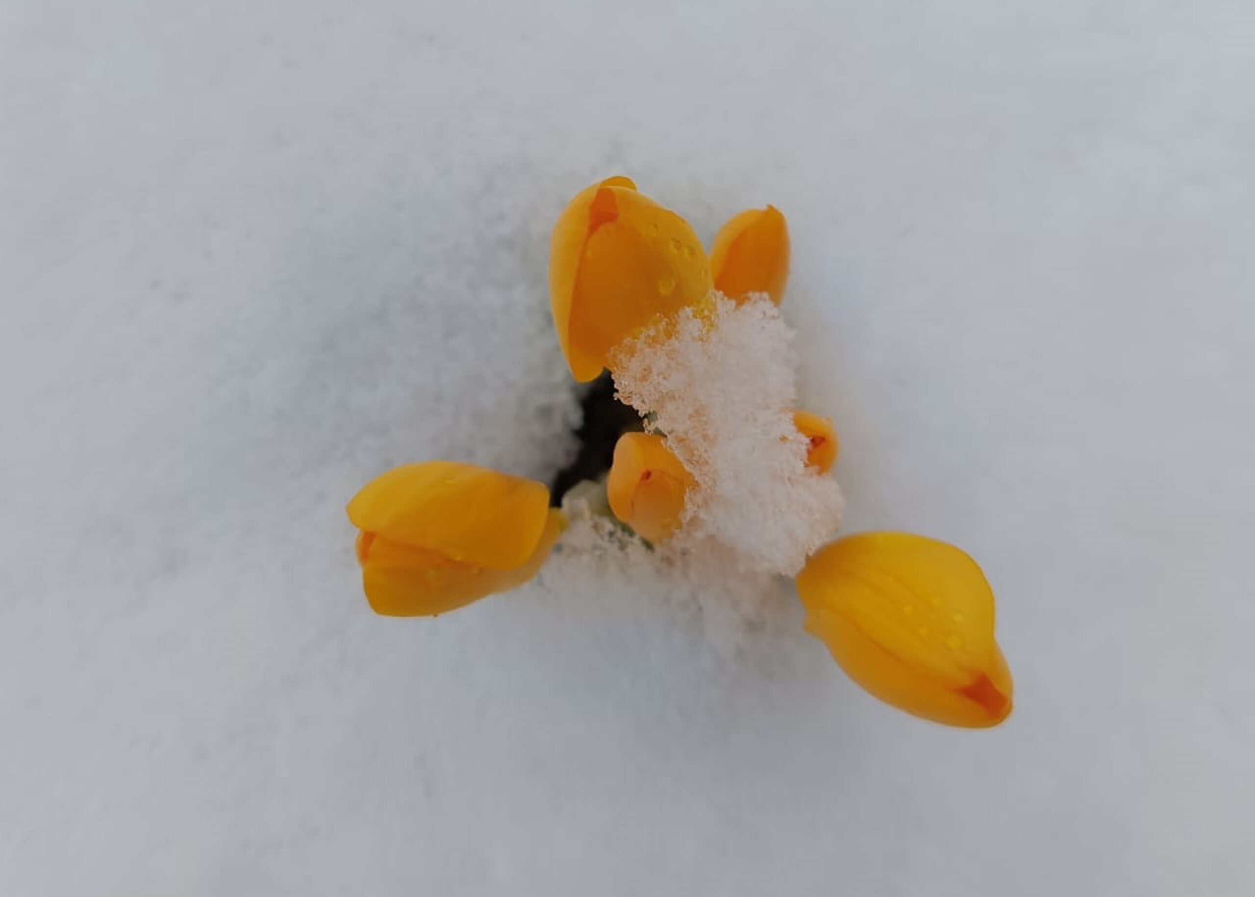 Beypazarı’nda yüksek kesimler beyaza büründü