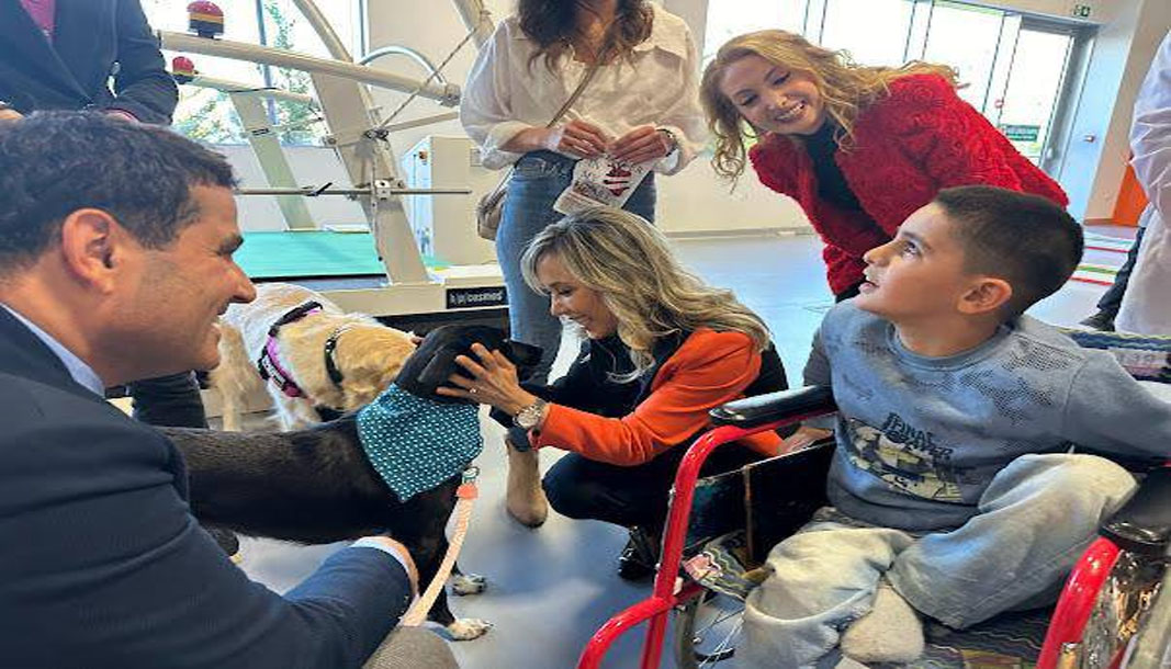 Sokak köpekleri, kanser hastalarına umut oluyor!