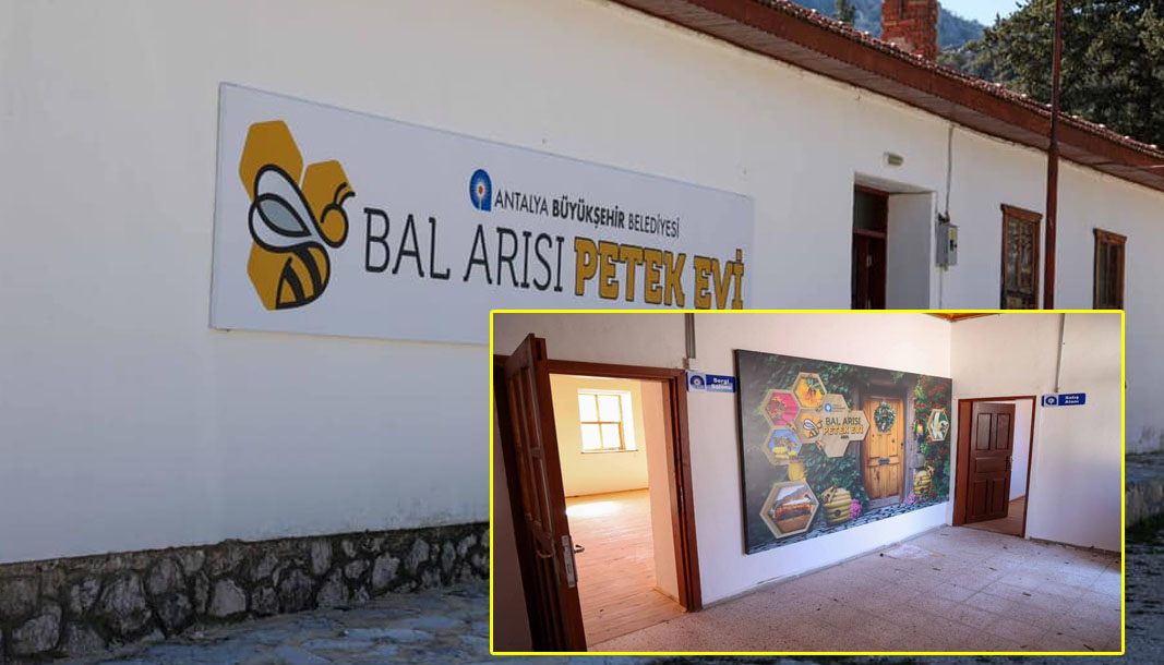 İbradı’n yeni ekonomik ve kültürel merkezi: Bal Arısı Petek Evi