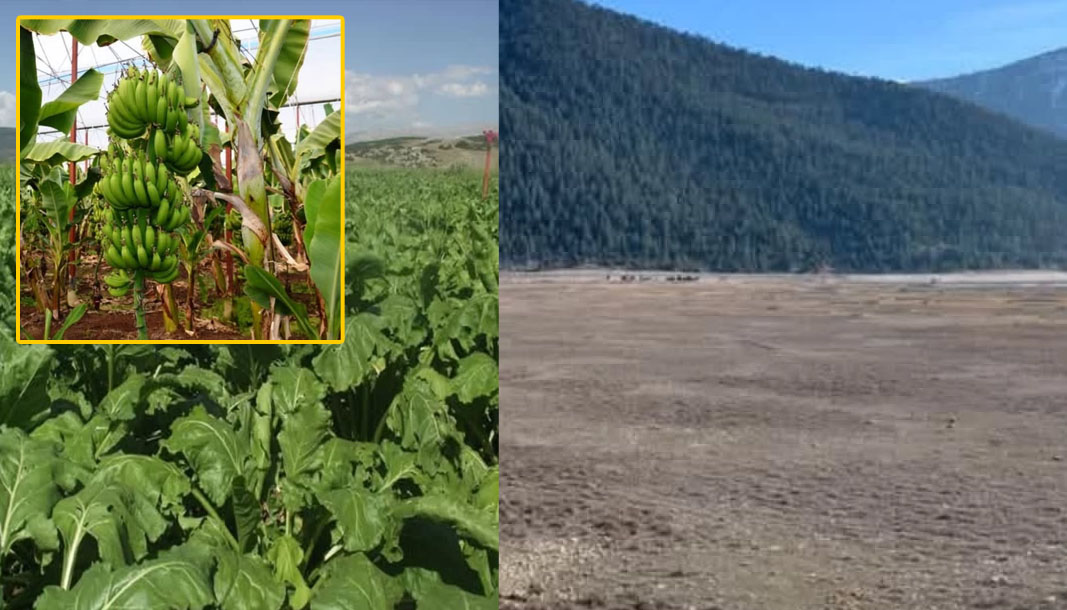 Antalya’daki su kuyularının yüzde 90’ı kaçak!