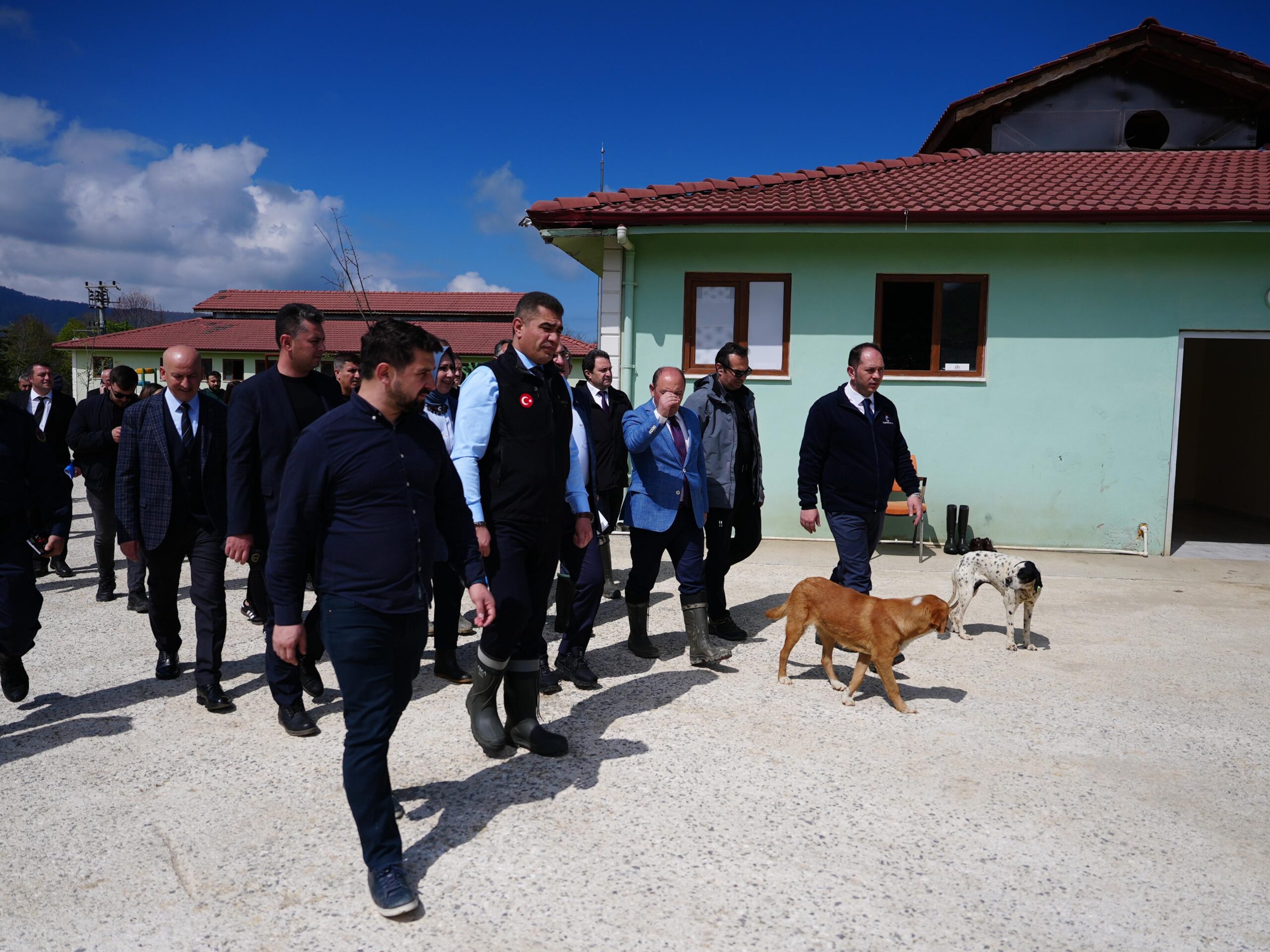 Bakan Yardımcısı Karaloğlu, Düzce’de “Hayvan Konukevi”ni inceledi