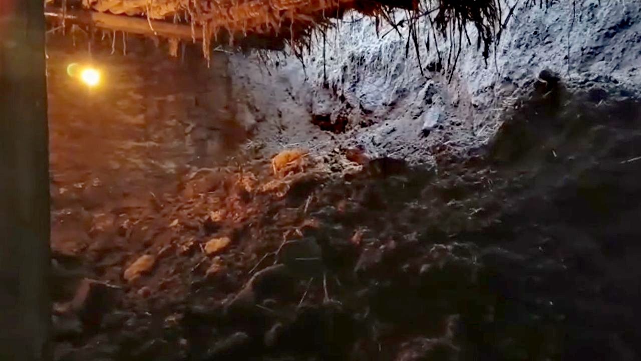 Ağrı Doğubayazıt’ta Sağanak Ahırı Çökertti: 20 Koyun Telef Oldu