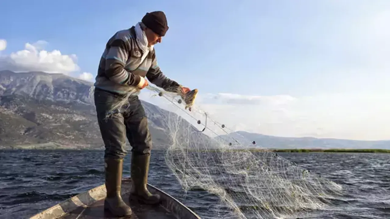 Balıkçılıkta Rekor Palamut Sezonu: Bereket ve Sürdürülebilirlik