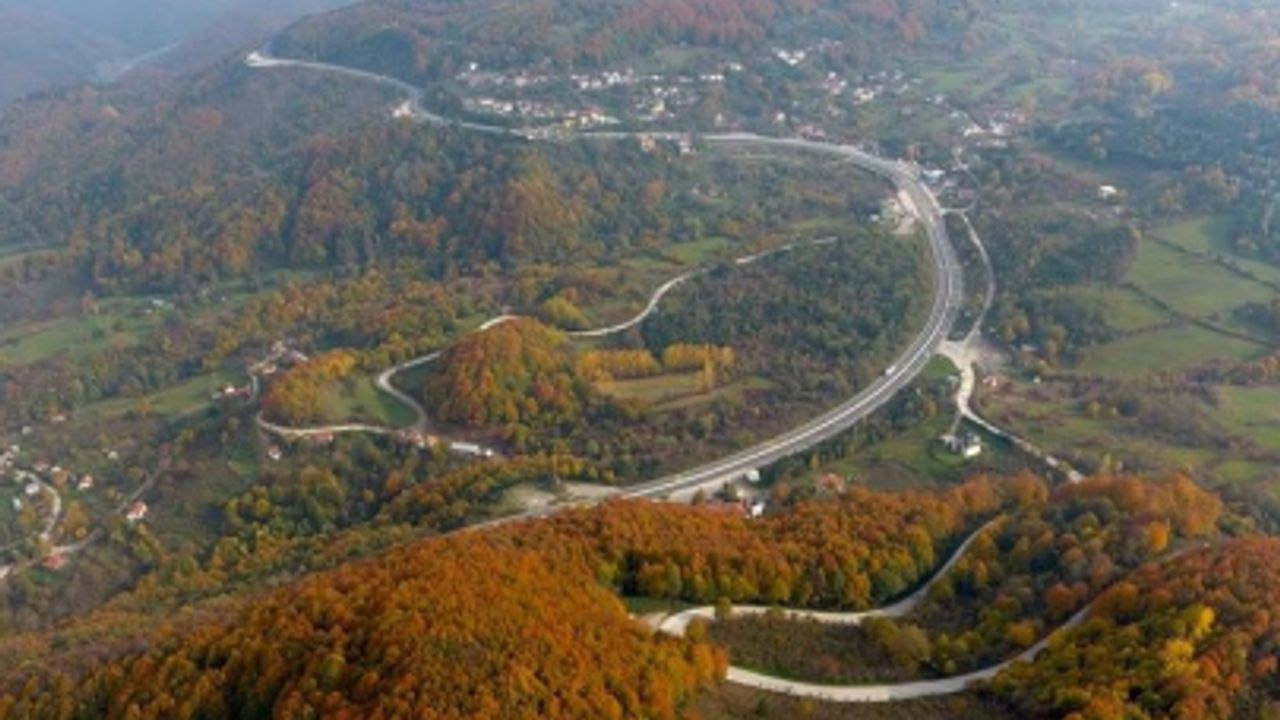 Bolu: Yanan Ormanlara 5 Milyon Fidan Dikiliyor