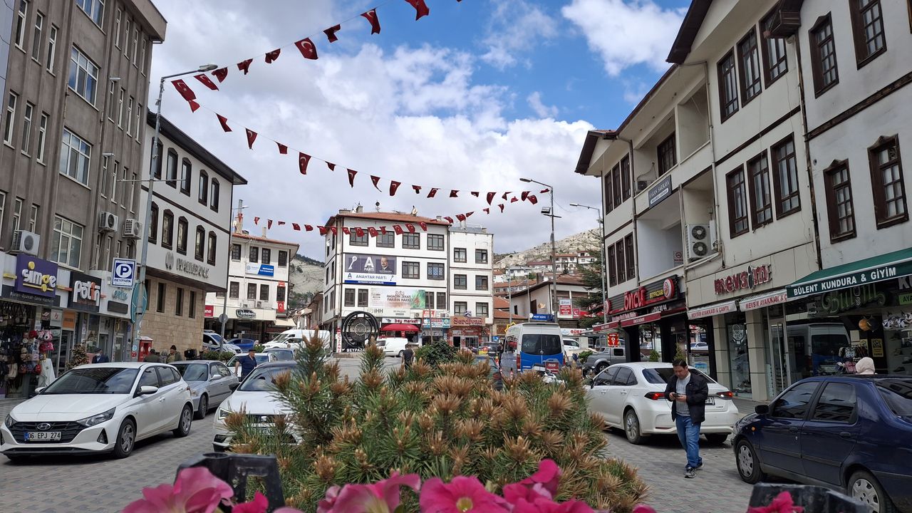 Ankara Büyükşehir Belediyesi kent estetiği için çiçek dikiyor