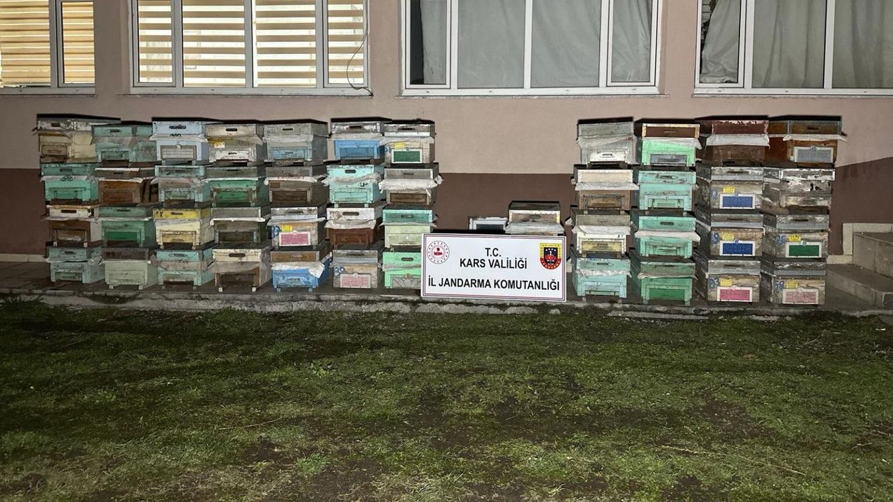 Kars, Iğdır: Arı Kovanı Hırsızları Jandarma Operasyonuyla Yakalandı
