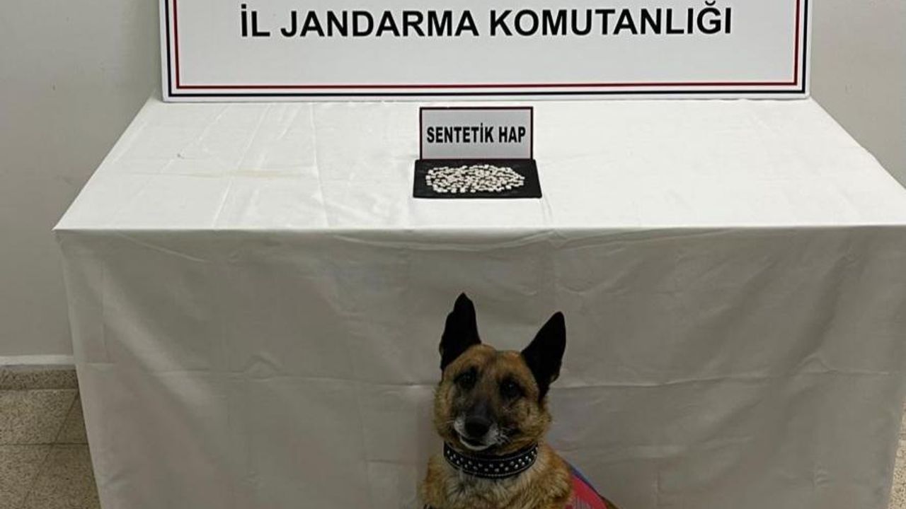 Kars’ta Narkotik Baskını: 150 Hap, İranlı Tutuklu