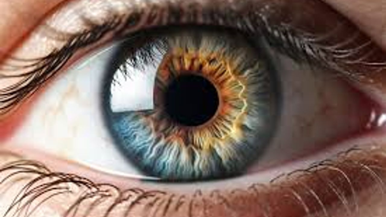 Retina Hasarına Kalıcı Görme Çözümü