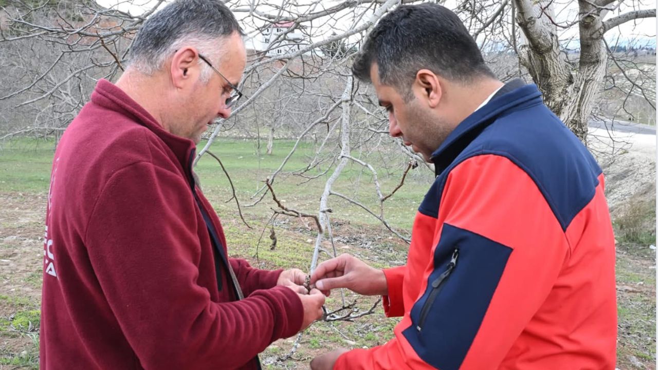 MGM’den Doğu Anadolu’ya Yoğun Kar Yağışı Uyarısı