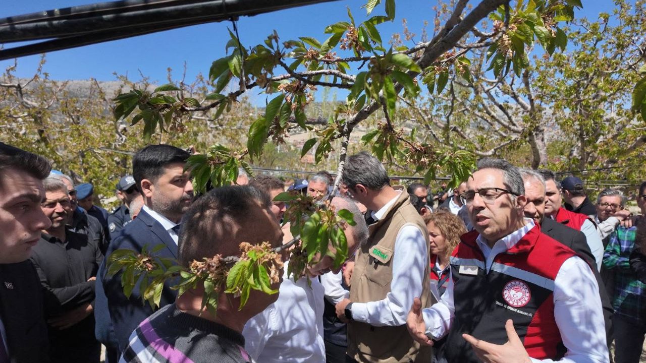 Isparta’da Don Tarımı Vurdu: Bakanlık Destekleri İnceledi