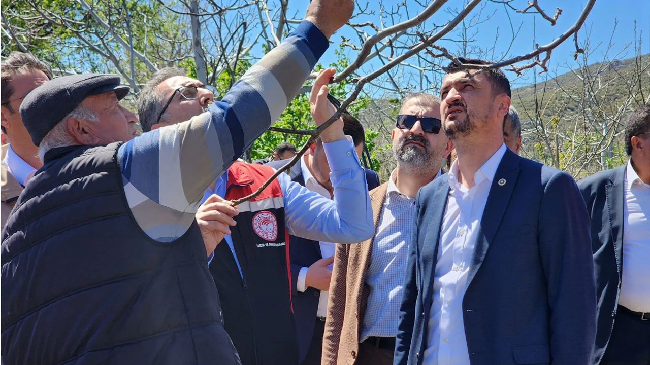 Burdur Don Hasarı: Bakan Yardımcısı Milletvekilleriyle İnceledi