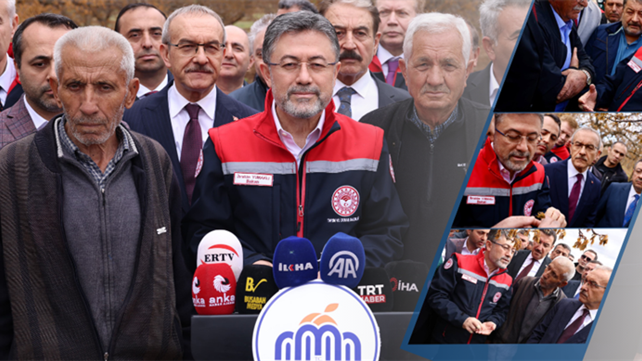 Zirai Don 34 İlde Tarımı Vurdu: Çiftçiye Destek