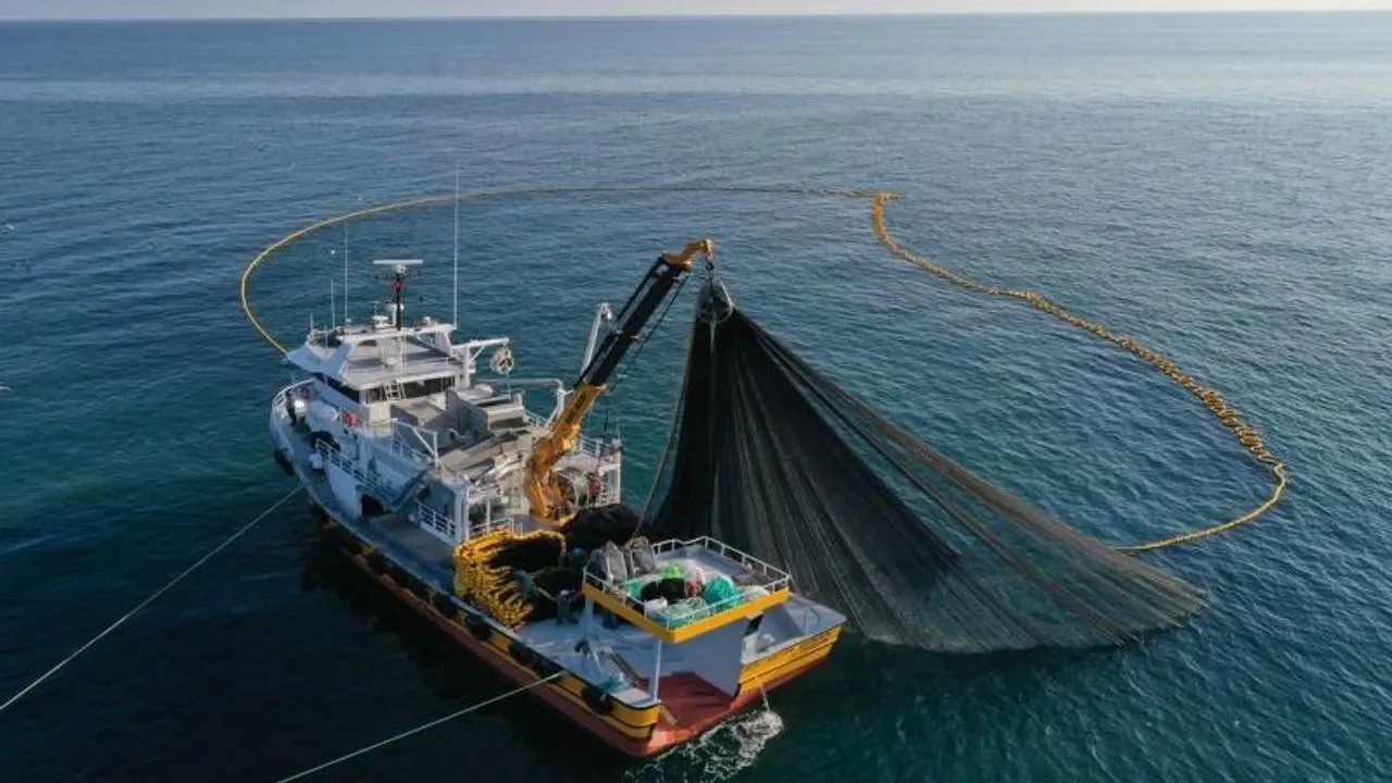 Balıkçılıkta Yeni Dönem: Amatör Belge ve Palamut Avı