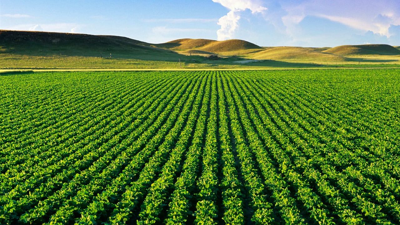 Tarım ÜFE Mart’ta Sert Yükseliş: %6,91 Arttı