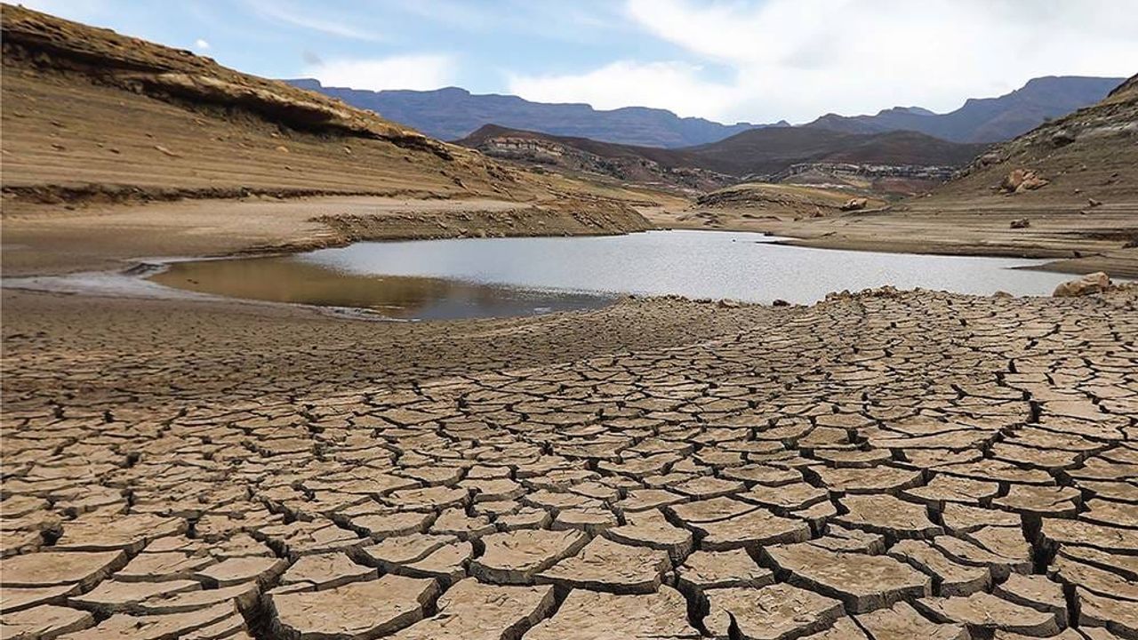 Tatlı Sularda Kritik Oksijen Düşüşü: Küresel Tehdit