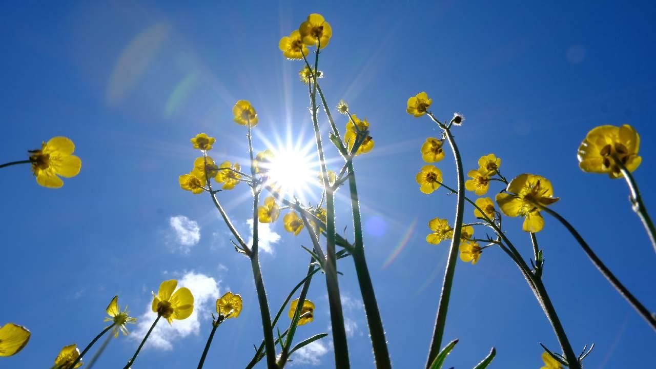 İstanbul’da Bir Hafta Yağış Yok: Sıcaklık Artıyor, Barajlar Dolu
