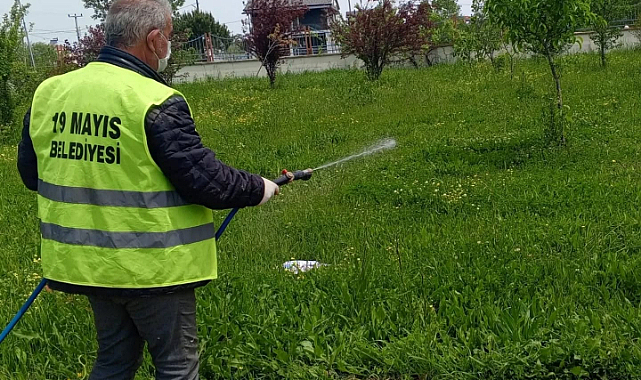 Kahverengi Kokarca Tehdidine 19 Mayıs’ta Kararlı Mücadele