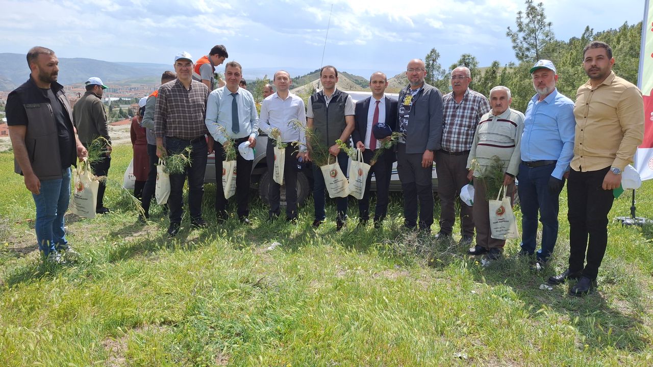 Beypazarı “Orman Benim”: Yangın Riski Azaltıldı