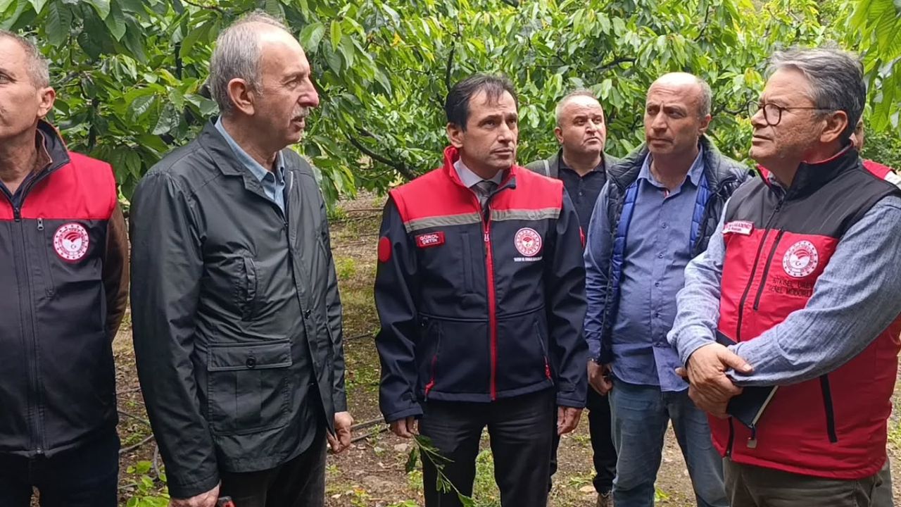 Amasya Tarım Don Sonrası Meyve Bahçeleri İçin Harekete Geçti