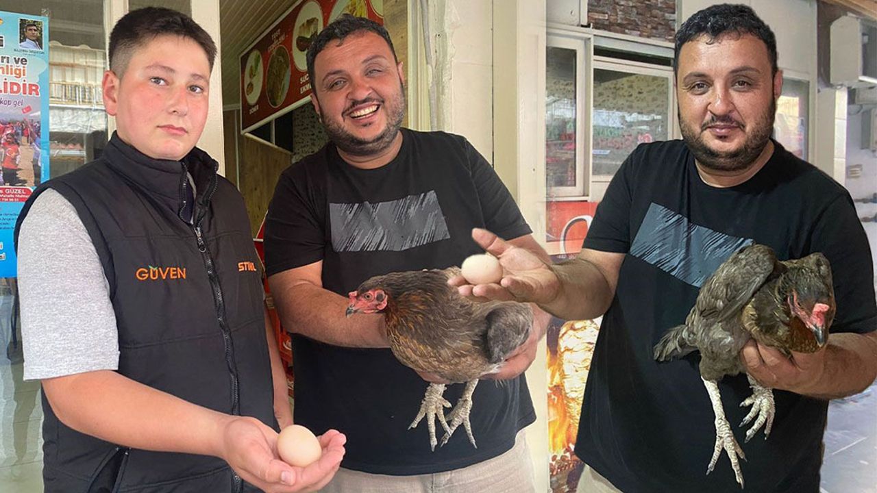 Antalya Serik’te Tavuk Dönerciye Yumurtlayan Tavuk Şaşırttı