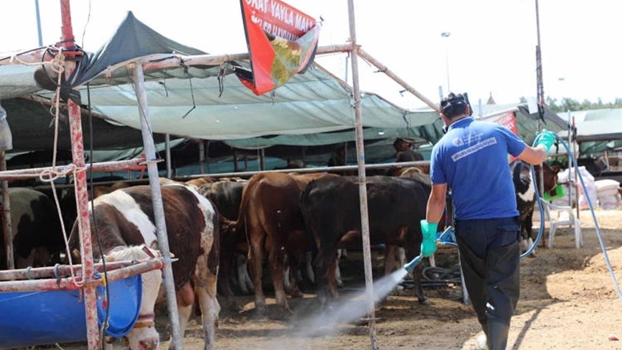 Antalya Kurban Bayramı Önlemi: Haşereye Karşı İlaçlama