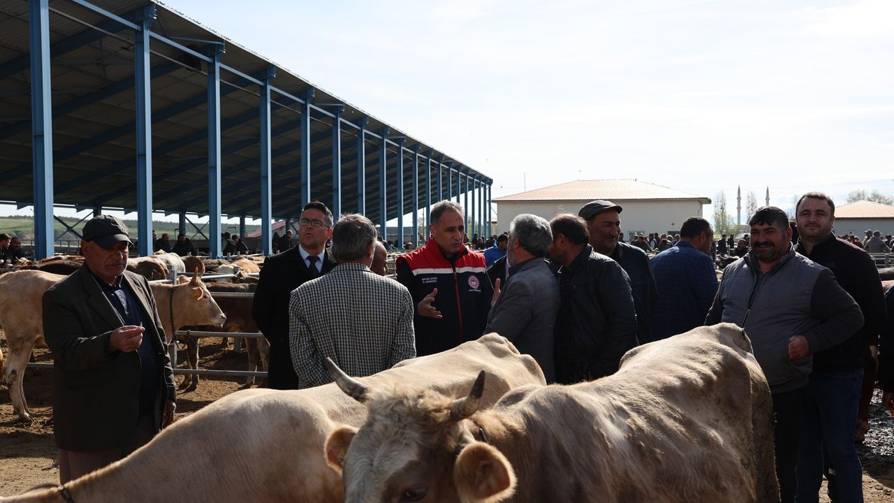 Kars Selim Bayram Öncesi Kurbanlık Denetimi