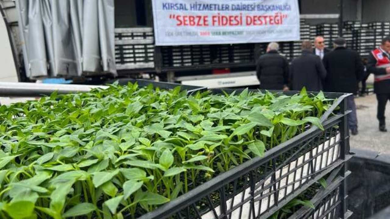 ABB Sebze Üreticisine 10.5 Milyon Fide Desteği