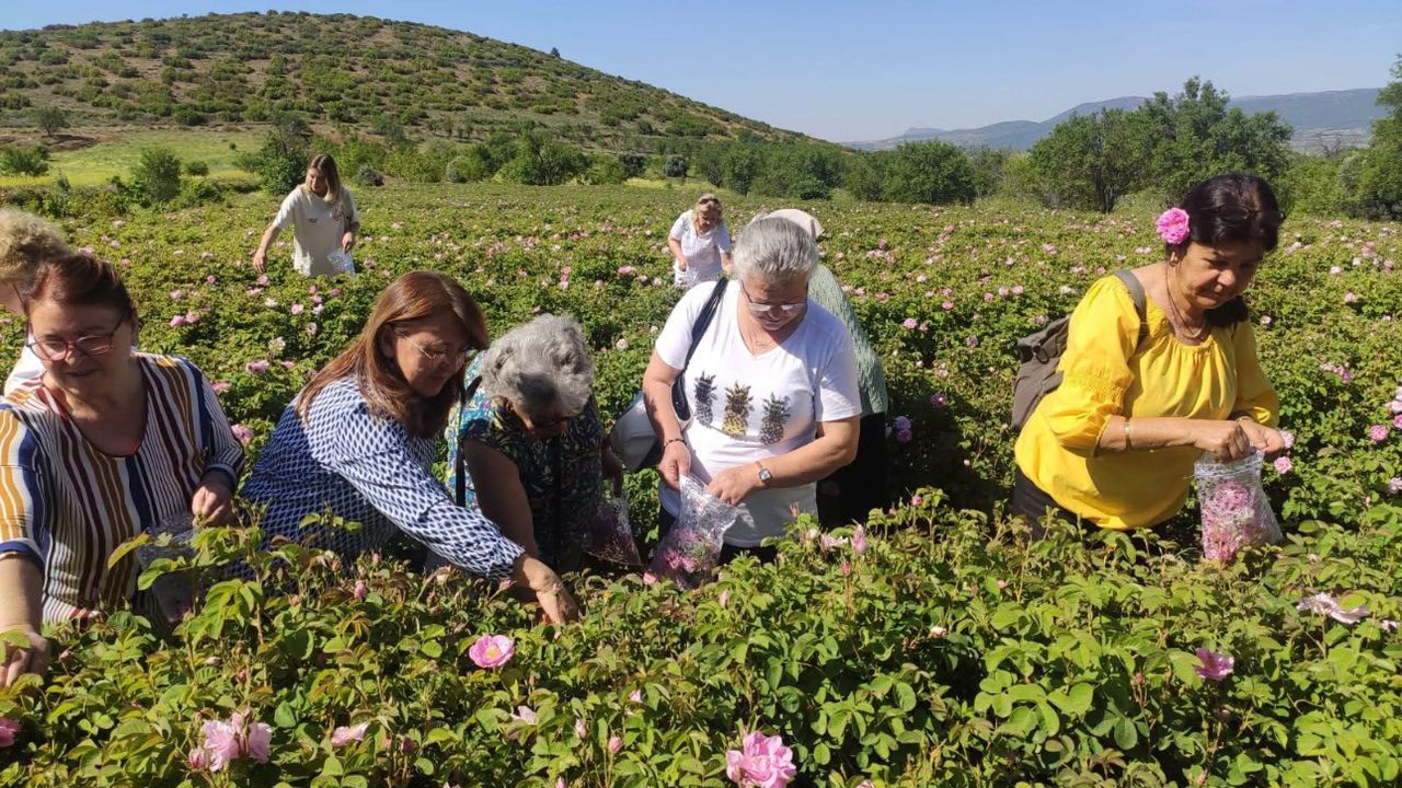 Gülbirlik Isparta Gül Turizmi Hazır! Sezon Uzatılıyor