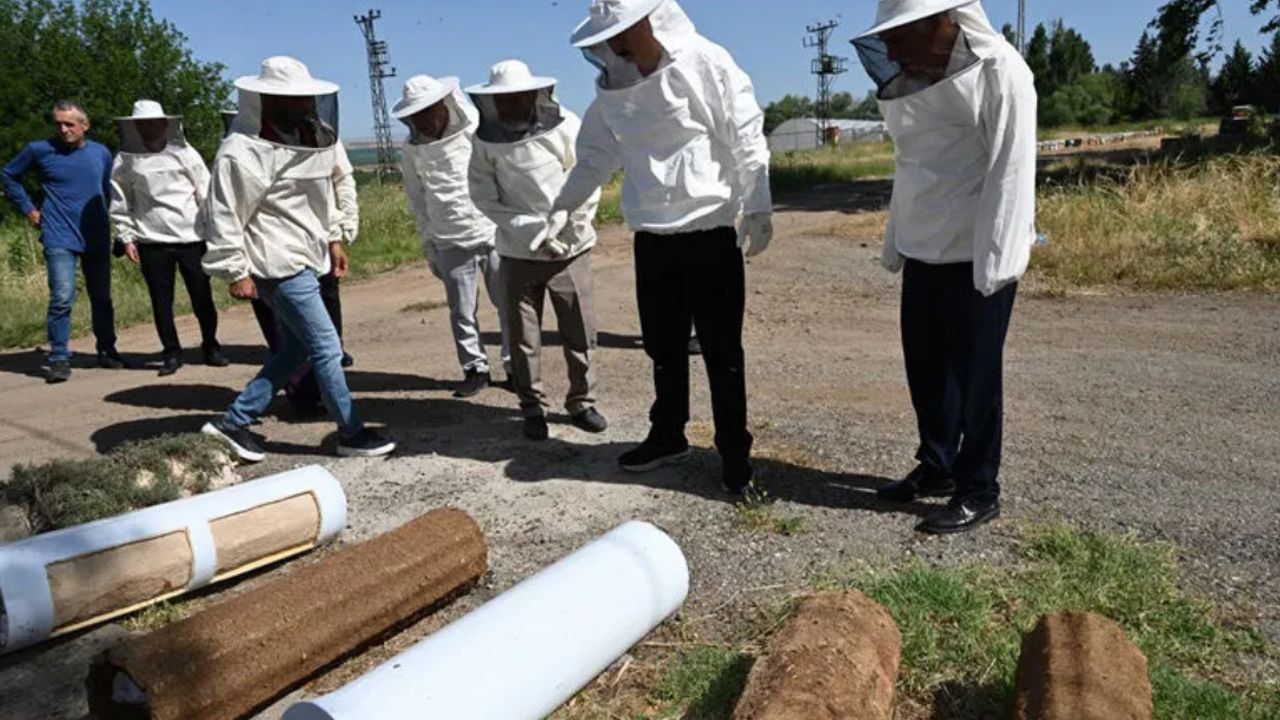 Sason’da 570 Kovan Dağıtıldı: Vali Geçmişi Değerlendirdi