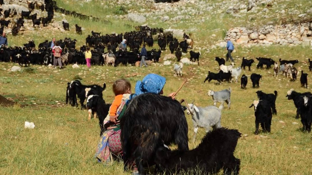 Antalyalı Yörükler Asırlık Yayla Göçüne Başladı