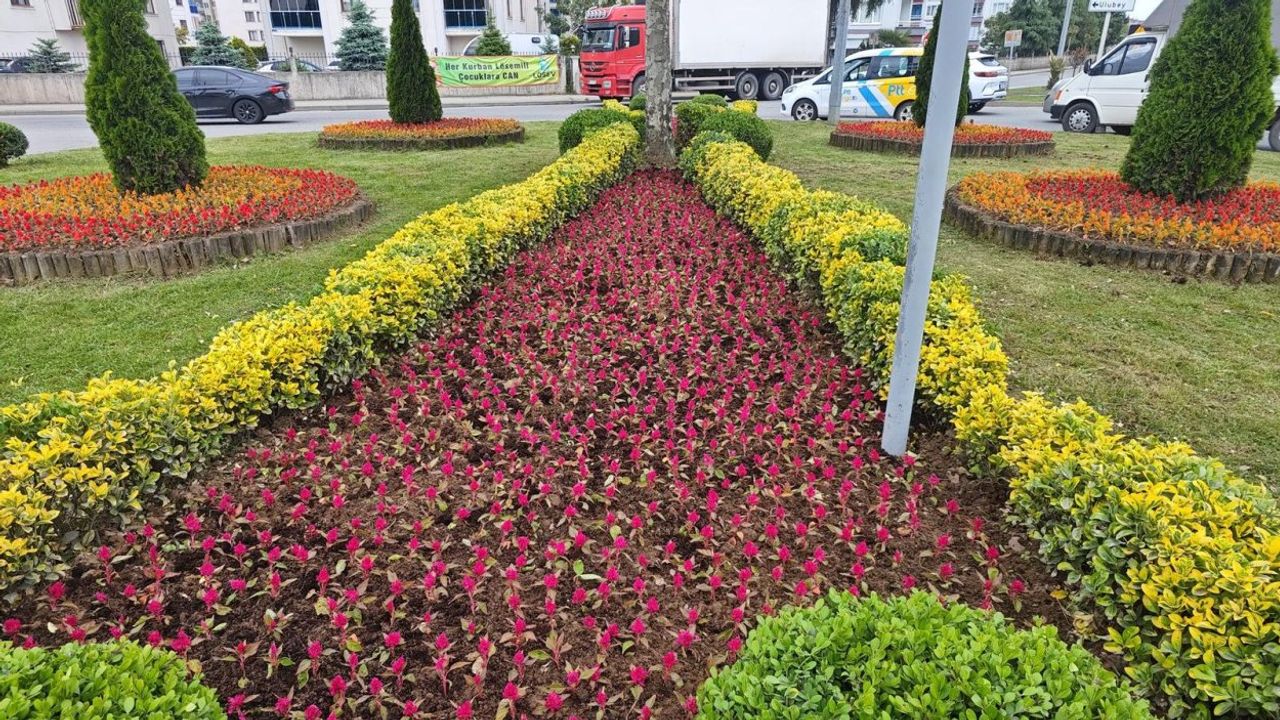 Ordu’da 445 Bin Çiçekle Kent Estetiği Güçleniyor