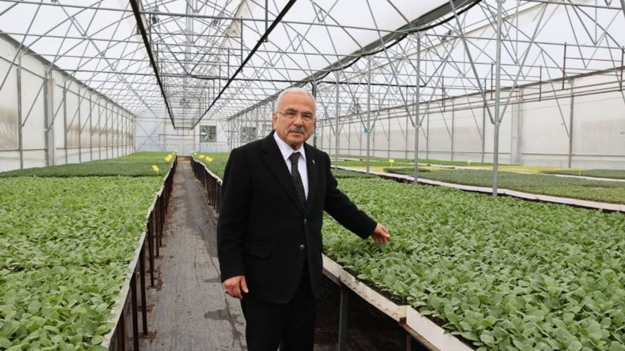 Ordu Büyükşehir’den Tarıma 4 Milyon Fide Desteği