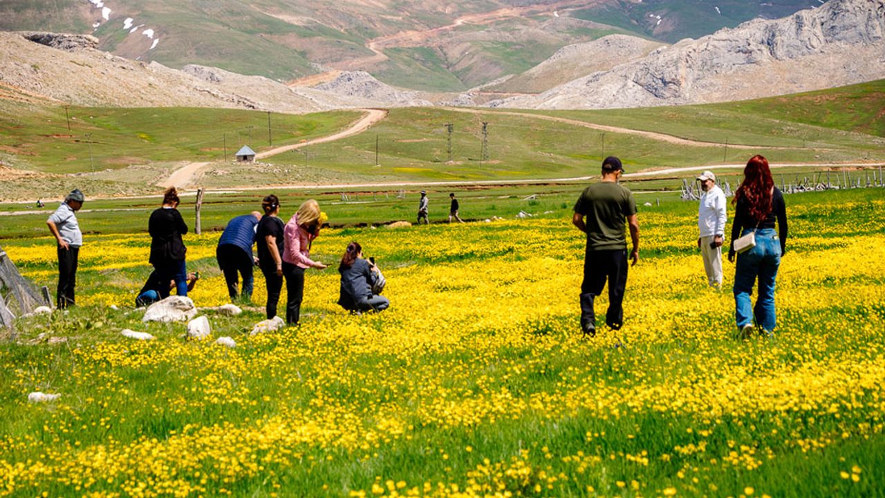 Alanya Gazetecileri Gündoğmuş Kültür Doğa Keşfi