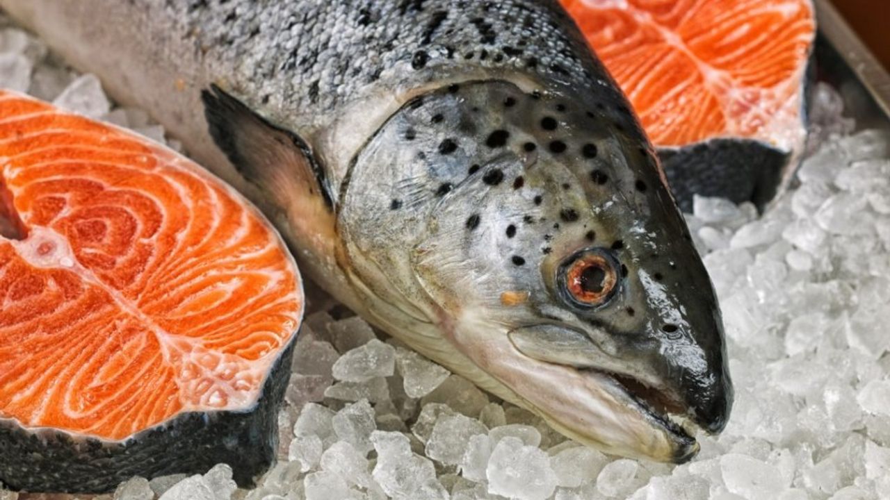 Doğu Karadeniz’den 4 Ayda 35 Milyon Dolarlık Türk Somonu