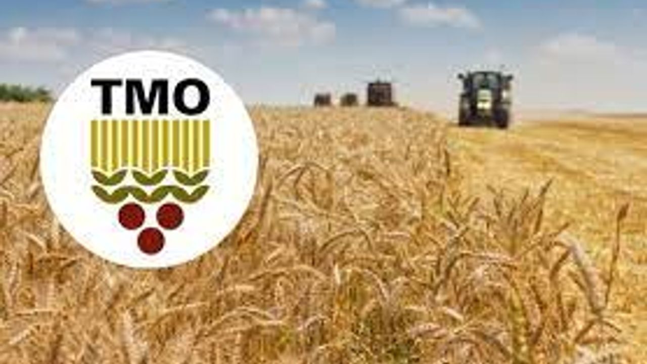 Haşhaş Ticaretinde Yetki TMO’ya, Mali Sorumluluk Hazine’ye