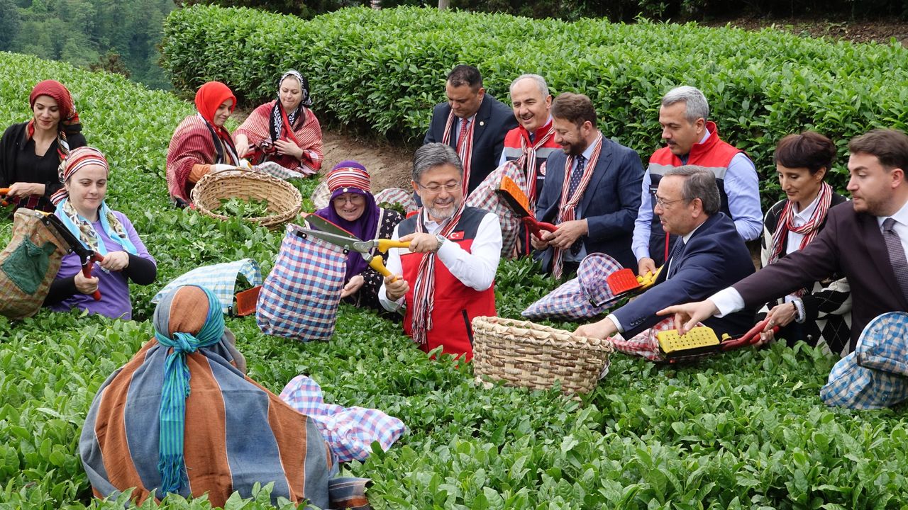 Bakan Yumaklı: Çay Sektörü Türkiye Ekonomisine 45 Milyar Lira Katkı Sağlıyor